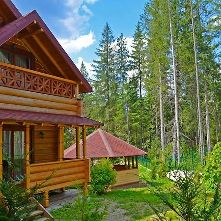 Ferienwohnung Knyazhyi Dvir Strigalnya Exterior foto