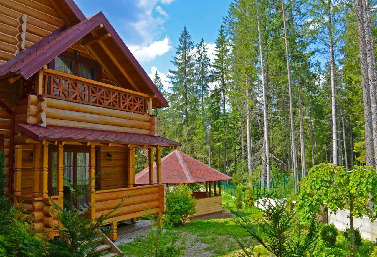 Ferienwohnung Knyazhyi Dvir Strigalnya Exterior foto
