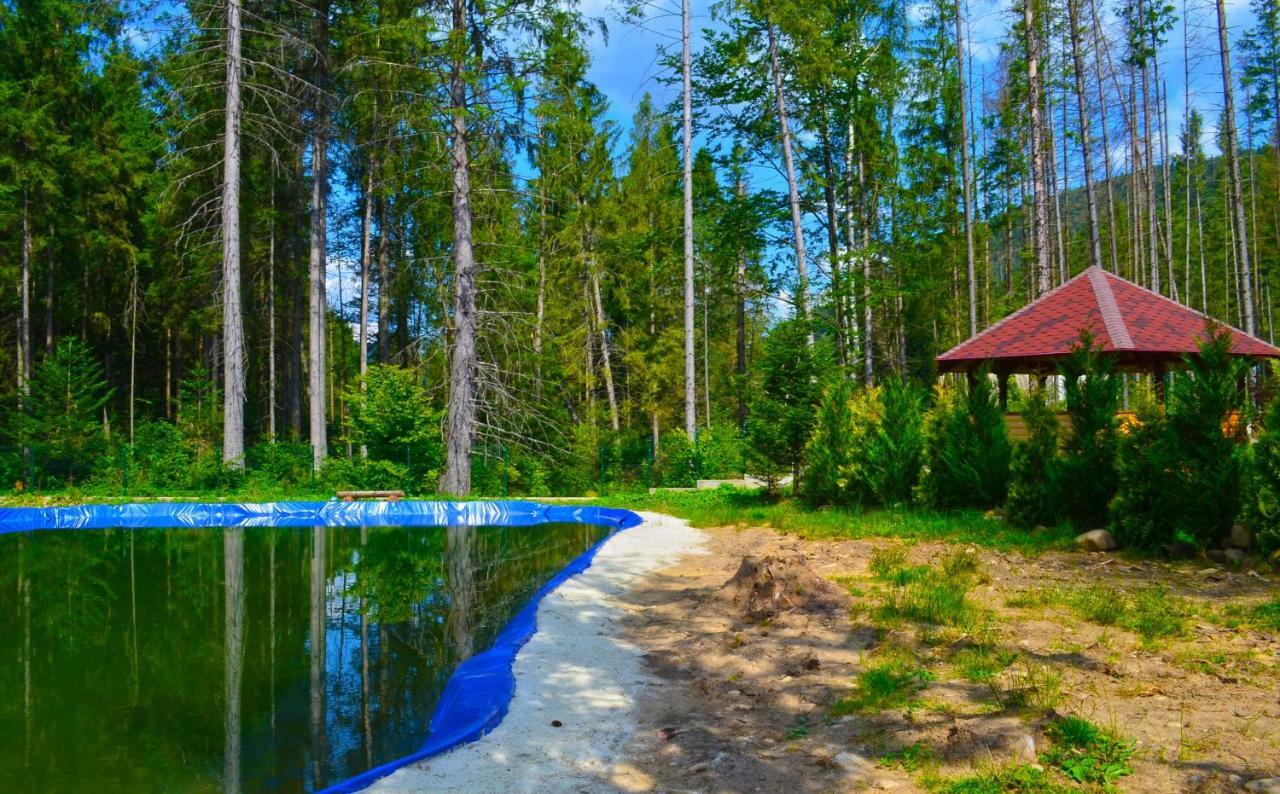 Ferienwohnung Knyazhyi Dvir Strigalnya Exterior foto